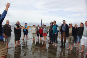 Wattwanderung im Weltnaturerbe "Wattenmeer"