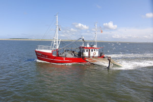 ein Krabbenkutter - typisch für die Nordsee